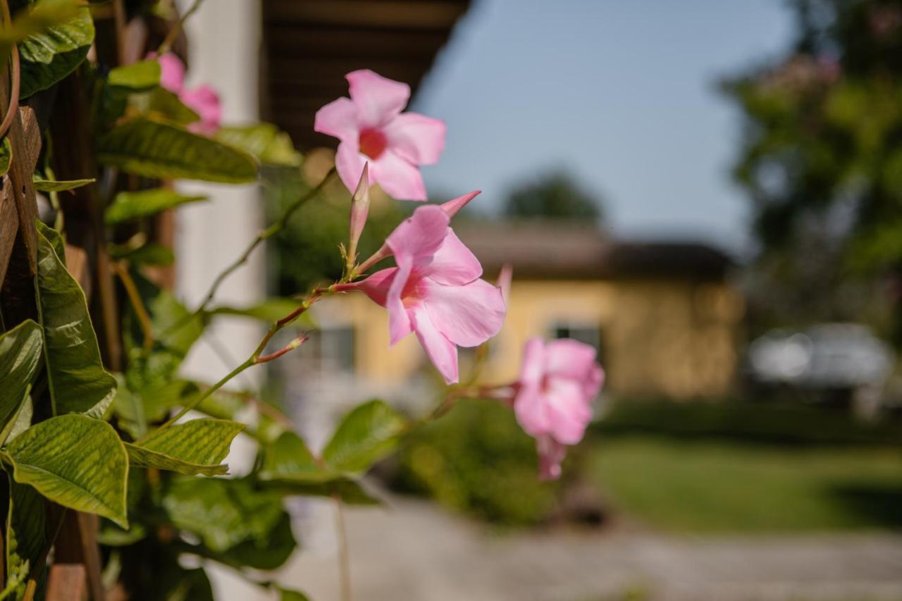 Agriturismo Albafiorita Guest House Latisana Eksteriør bilde